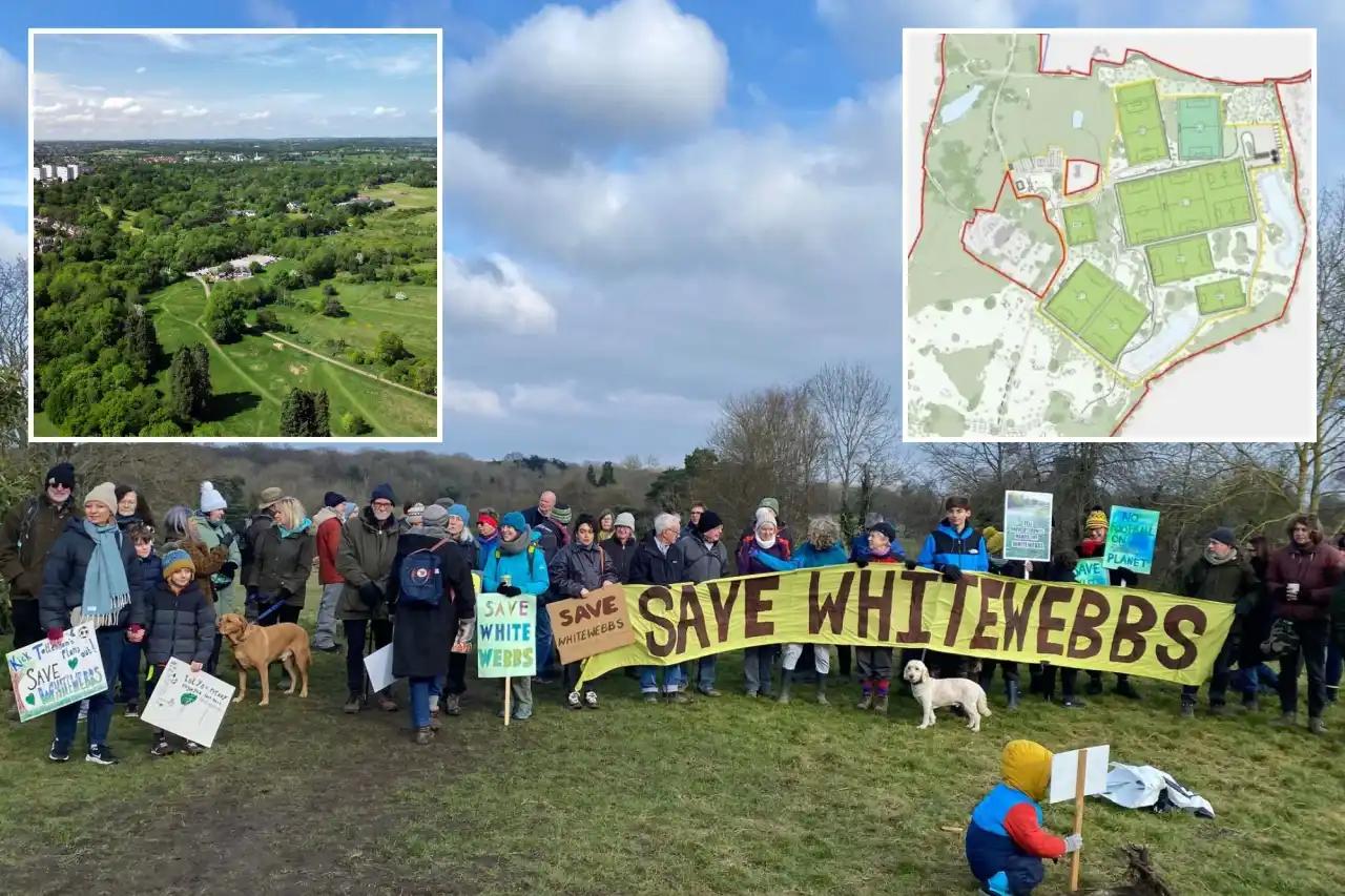 将被砍伐 将被砍伐