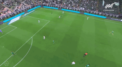 mH, 吉达国民, hpGWN mH, 吉达国民, hpGWN